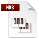 Ícone do arquivo NKB