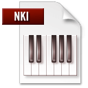 Ícone do arquivo NKI