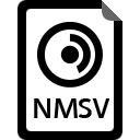 Ícone do arquivo NMSV