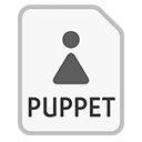 Ícone do arquivo PUPPET