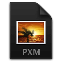 Ícone do arquivo PXM