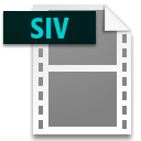 Ícone do arquivo SIV