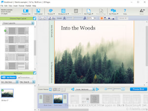 Captura de tela de um arquivo bookexport em Blurb BookSmart 34