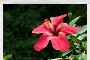Captura de tela de um arquivo cr3 no Apple Preview 10
