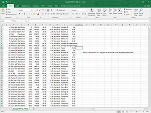 Captura de tela de um arquivo csv no Microsoft Excel 2016