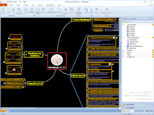 Captura de tela de um arquivo emm em MindMaple 17