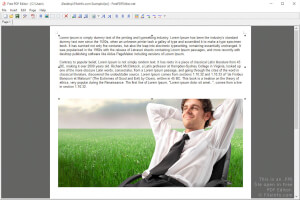 Captura de tela de um arquivo fpe no Free PDF Editor