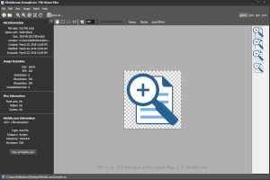 Captura de tela de um arquivo ico no File Viewer Plus 2