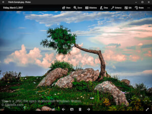 Captura de tela de um arquivo jpeg no Microsoft Windows Fotos