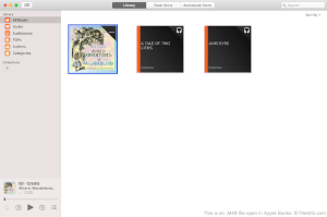 Captura de tela de um arquivo m4b no Apple Books