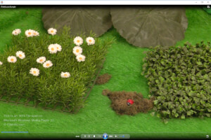 Captura de tela de um arquivo mts no Microsoft Windows Media Player 12