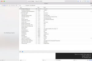 Captura de tela de um arquivo plist no Apple Xcode 9
