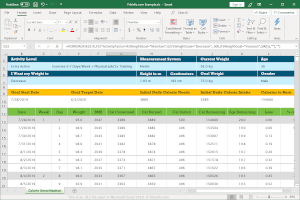 Captura de tela de um arquivo XLS no Microsoft Excel 2019